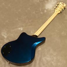 D'Angelico Deluxe Series Deluxe Bedford Limited Edition, Chameleon_3