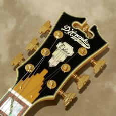 D'Angelico Deluxe Series Deluxe Bedford Limited Edition, Chameleon_4