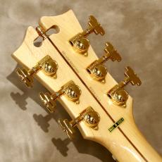 D'Angelico Deluxe Series Deluxe Bedford Limited Edition, Chameleon_5