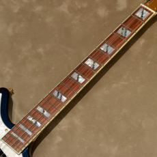 D'Angelico Deluxe Series Deluxe Bedford Limited Edition, Chameleon_6