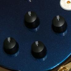 D'Angelico Deluxe Series Deluxe Bedford Limited Edition, Chameleon_8