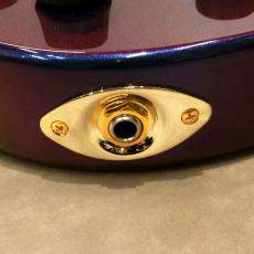 D'Angelico Deluxe Series Deluxe Bedford Limited Edition, Chameleon_10