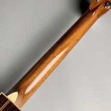 ASTURIAS Solo LTD/C【現物写真】【島村楽器限定モデル】_8