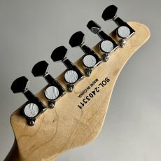 SCHECTER L-OL-DK-24-AL-RH/R【現物写真】_8