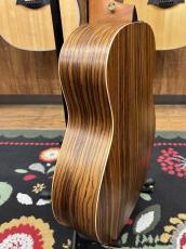 Taylor 50th Anniversary GS Mini-e Rosewood SB LTD【2024年製】_5