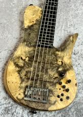 Fodera Imperial 5 Elite Buckeye Top 34Inch【4.64kg】_2