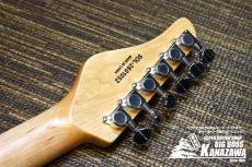 SCHECTER Oriental Line OL-FL-2【エレキギター感覚のエレアコ!】_4