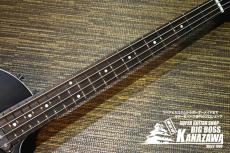 GrassRoots G-AC-BASS_2