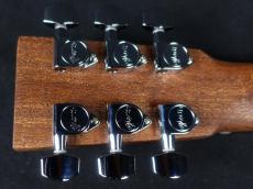 Martin Backpacker GTR_9