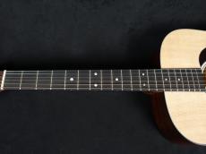 Martin D-10E-02_4