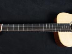 Martin LX-1E_4