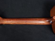Martin LX-1E_8