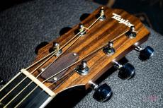 Taylor 414ce / 2013_3