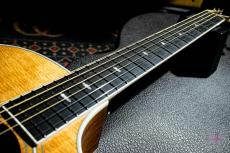 Taylor 414ce / 2013_4