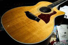 Taylor 414ce / 2013_9