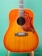 Gibson Hummingbird