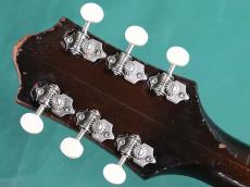 Epiphone ZENITH_6