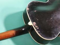 Epiphone ZENITH_9