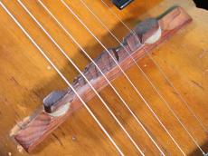Epiphone ZENITH_10