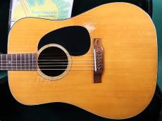 Martin D-18_2