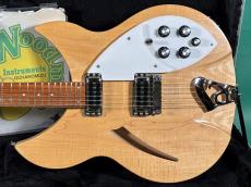 Rickenbacker 330 MG_2