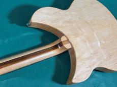 Rickenbacker 330 MG_9