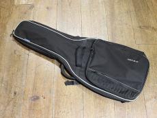 YAMAHA PAC312II Modified_4