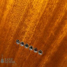 ALCEDO GUITARS Custom ATL All Mahogany_10