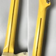 KING SNAKE Okie Dokie T -Butterscotch Blonde- 【TLタイプ】_9