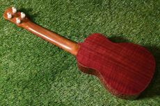 Antar Sycamore×Purple Heart Soprano Longneck_3
