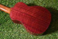 Antar Sycamore×Purple Heart Soprano Longneck_4