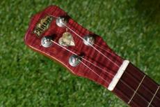 Antar Sycamore×Purple Heart Soprano Longneck_5