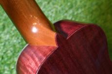 Antar Sycamore×Purple Heart Soprano Longneck_14