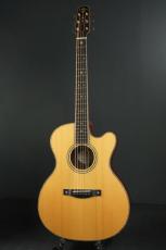 Roy McAlister C-45 Cutaway Custom