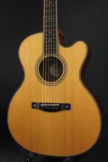 Roy McAlister C-45 Cutaway Custom_2