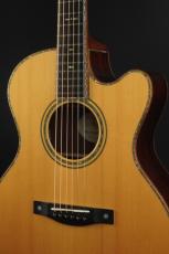 Roy McAlister C-45 Cutaway Custom_3
