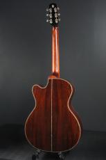 Roy McAlister C-45 Cutaway Custom_4