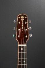 Roy McAlister C-45 Cutaway Custom_6