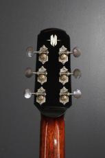 Roy McAlister C-45 Cutaway Custom_8