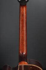 Roy McAlister C-45 Cutaway Custom_9