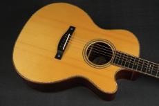 Roy McAlister C-45 Cutaway Custom_11