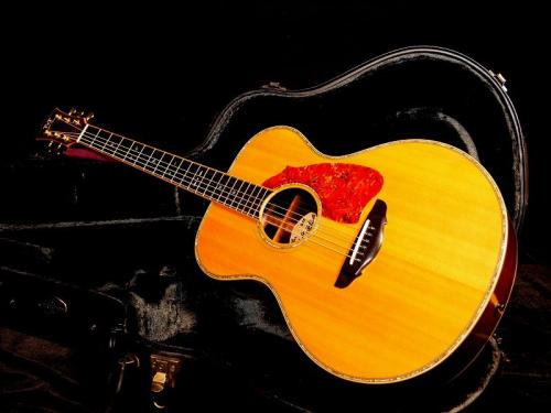 Terry's Terry Paul Simon Custom Model【ポールサイモンご本人仕様とほぼ同モデル ハカランダ仕様】先ずは解説試奏動画をご覧下さい。
