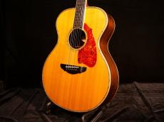Terry's Terry Paul Simon Custom Model【ポールサイモンご本人仕様とほぼ同モデル ハカランダ仕様】先ずは解説試奏動画をご覧下さい。_2