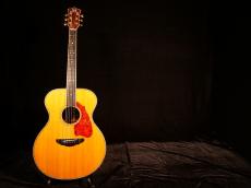 Terry's Terry Paul Simon Custom Model【ポールサイモンご本人仕様とほぼ同モデル ハカランダ仕様】先ずは解説試奏動画をご覧下さい。_3
