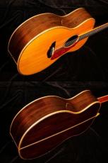 Terry's Terry Paul Simon Custom Model【ポールサイモンご本人仕様とほぼ同モデル ハカランダ仕様】先ずは解説試奏動画をご覧下さい。_6