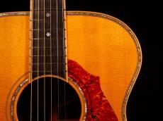 Terry's Terry Paul Simon Custom Model【ポールサイモンご本人仕様とほぼ同モデル ハカランダ仕様】先ずは解説試奏動画をご覧下さい。_13