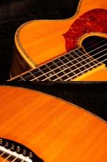 Terry's Terry Paul Simon Custom Model【ポールサイモンご本人仕様とほぼ同モデル ハカランダ仕様】先ずは解説試奏動画をご覧下さい。_15