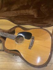 Seagull M-50CW_2