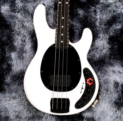 MUSIC MAN Japan Limited DarkRay 4 Bass White / Ebony【特価】【国内入荷僅少!】