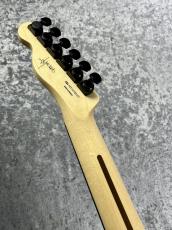 Fender Japan 【月末大特価!!】 Jim Root Telecaster -Flat White-【2016'sUSED】_5